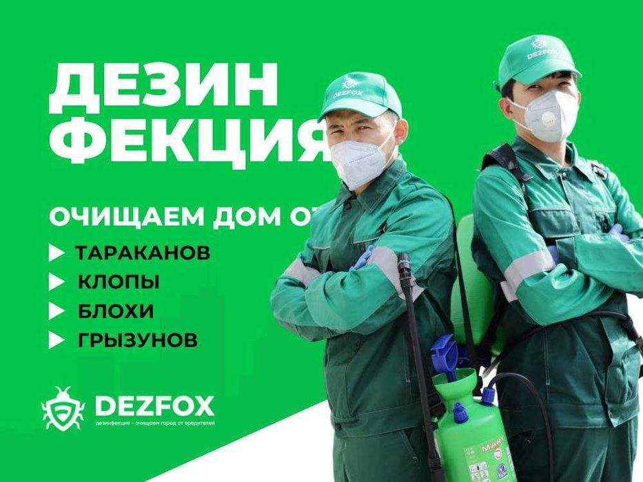 Дезинфекция Дезинсекция Дератизация От Тараканов Клещей Насекомых Аста