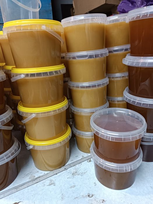 Продается свежий мёд разнотравье