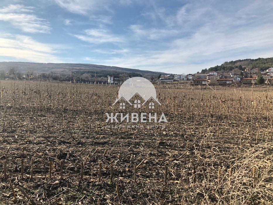 Продава се Парцел в с. Рогачево, Област Добрич - 5259 кв.м за 28 €/кв.м - Снимка #4