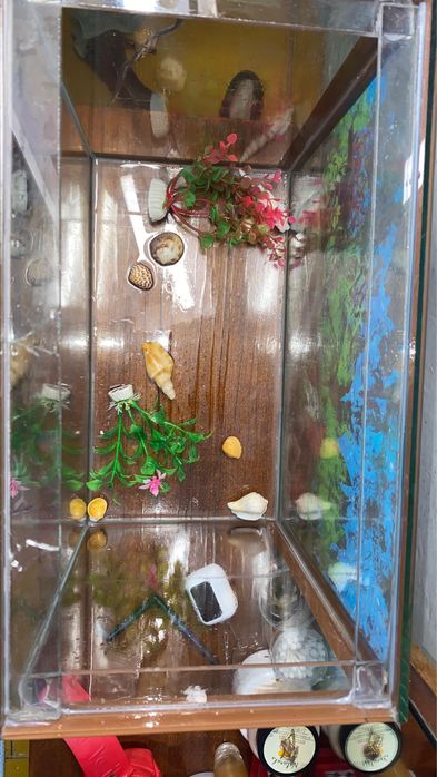 Аквариум 20 литров свет есть