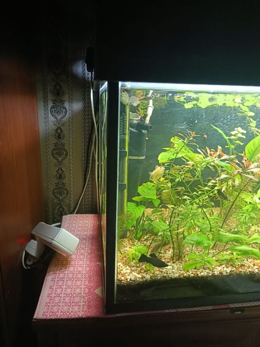 Срочно продам аквариум