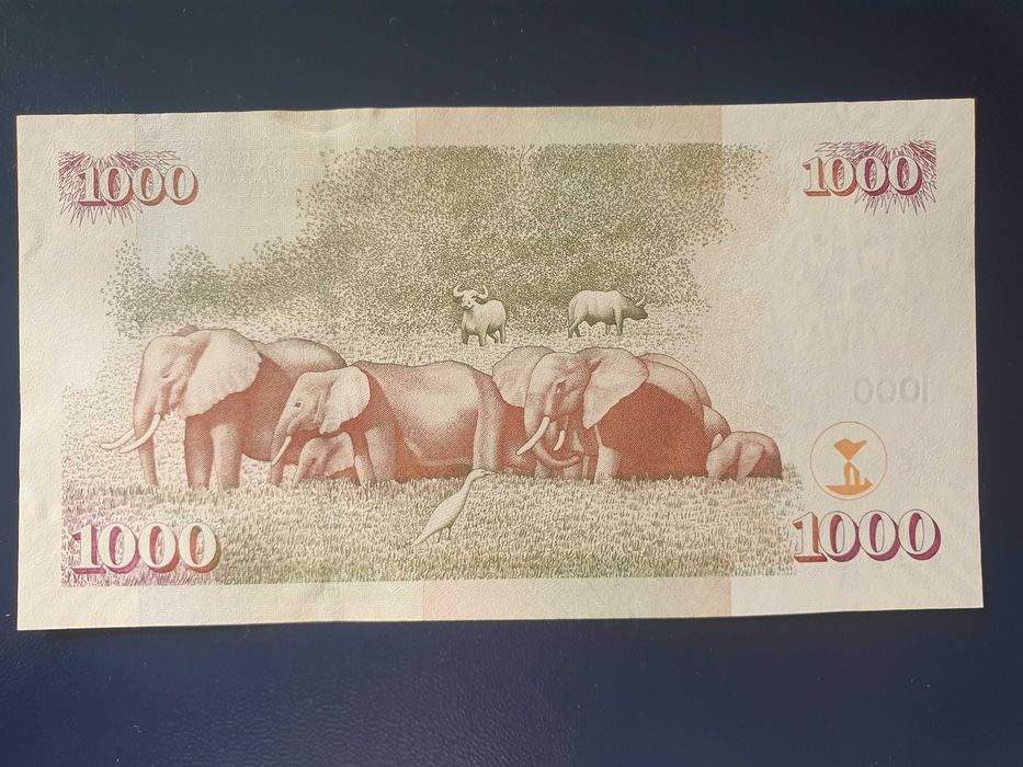 Лот шилинги Кения 2010 год.