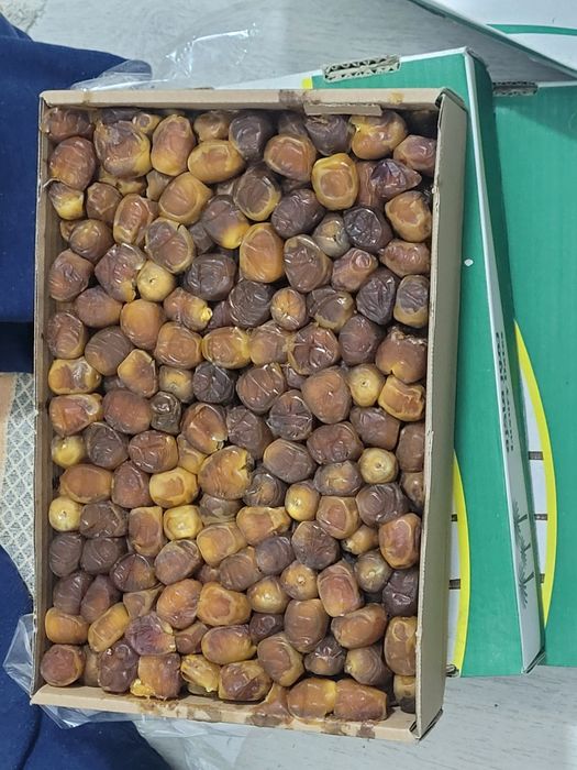 Финики суккари...