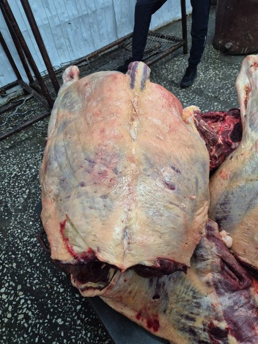 Согым с доставкой на дом