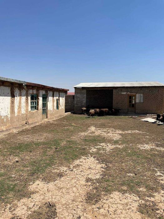 Тезда нотурар жой сотилади