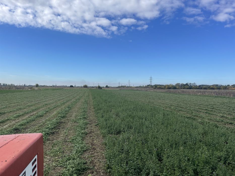 Baloti lucerna prima coasa 20-25 kg