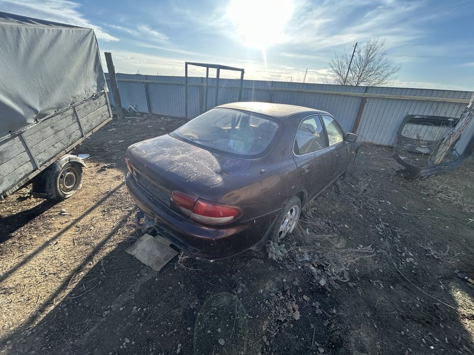 Актобе кок разбор