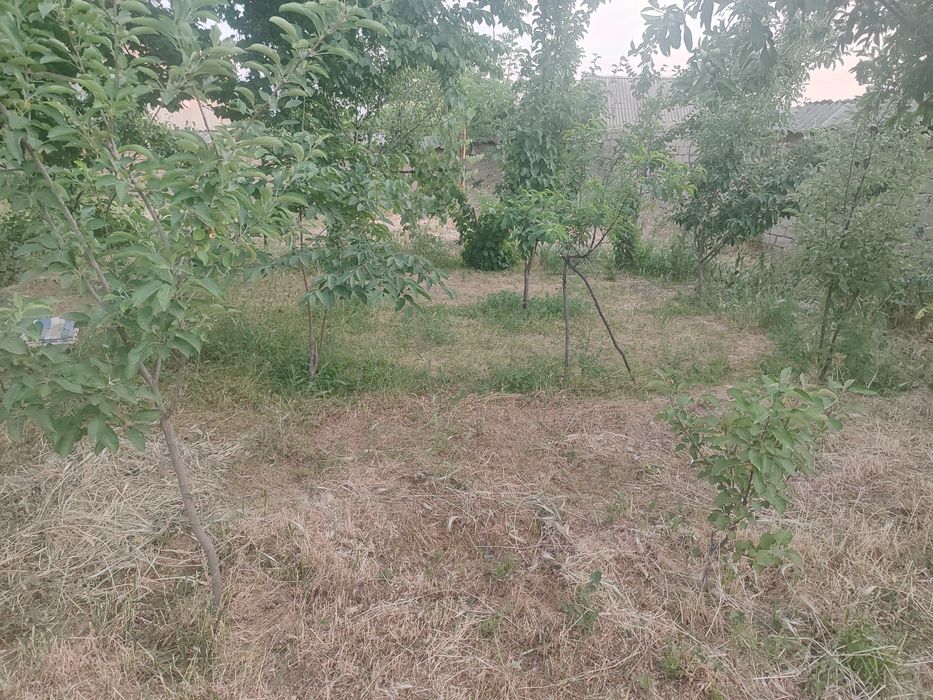 Quruq yer sotiladi uyii yarim qismi yoki 2sotik sotiladi