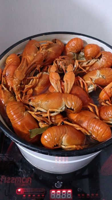 Живые раки варёные раки.