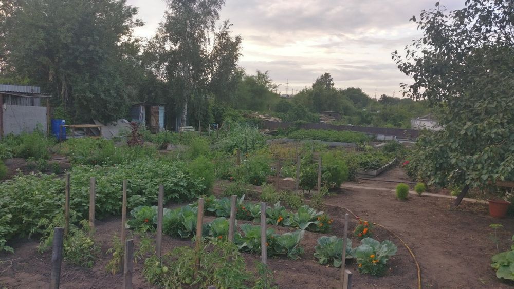 Дача, общество Мичуренец