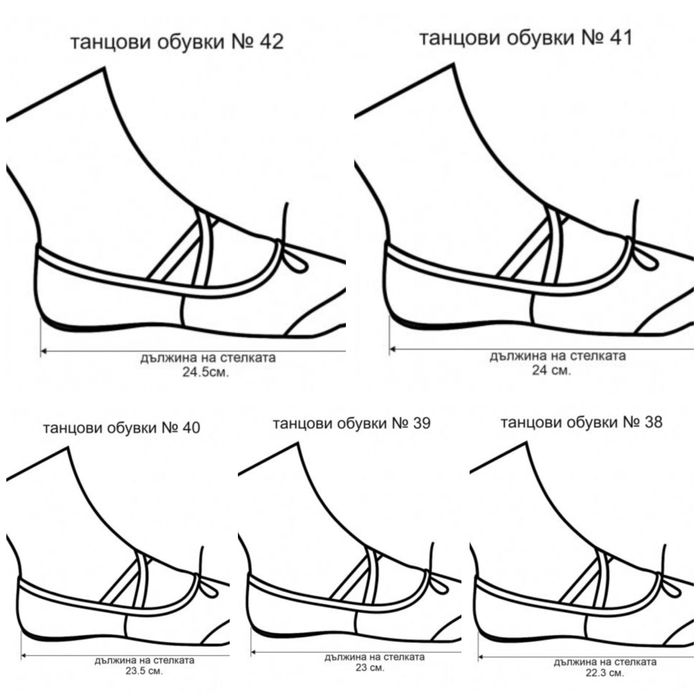 Танцови обувки (меки туфли) цвички
