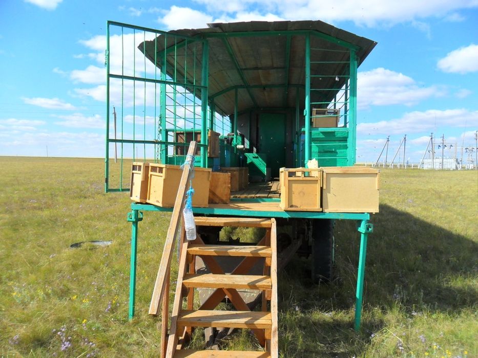 Пчелопавильон. Прицеп для пчёл.  Улья