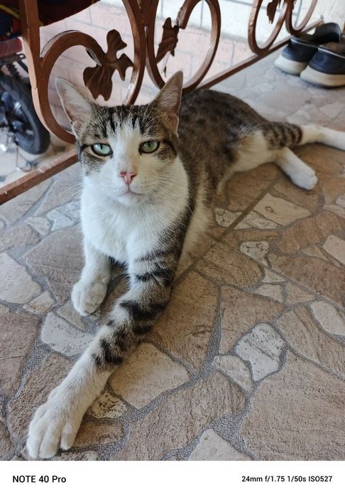 Hadiyaga yaxshi qoʻllaga