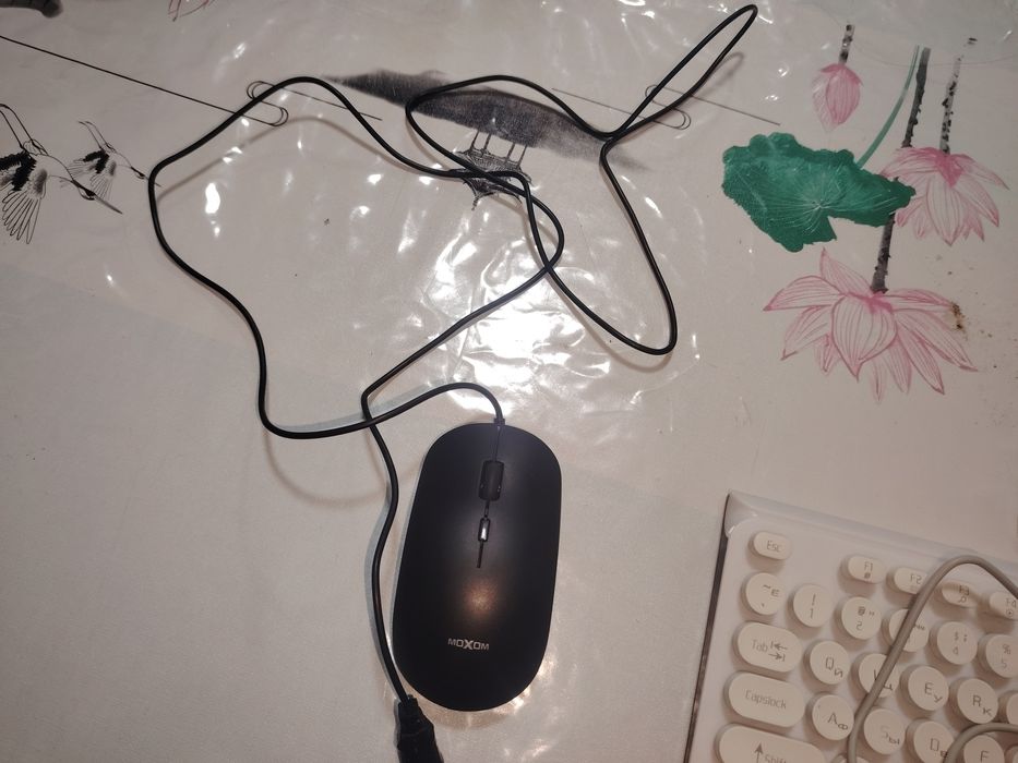 клавиатура и мышка