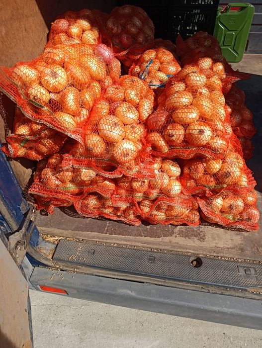 Ceapă românească