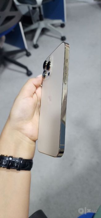 iPhone 13 Pro Max