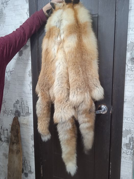 Продам Шкурки Lis