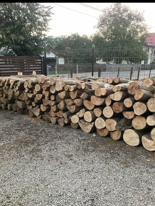 Vad lemne foc  fag si brad