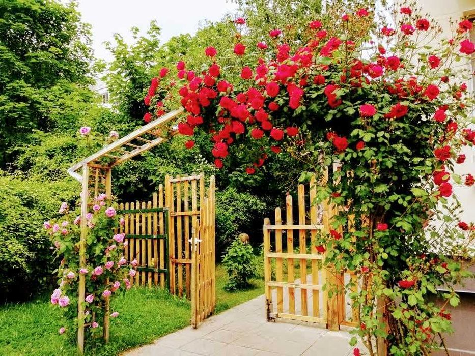 Дава се под наем Зала за събития в София, Младост 1 -  кв.м за 66.3 € - Снимка #8