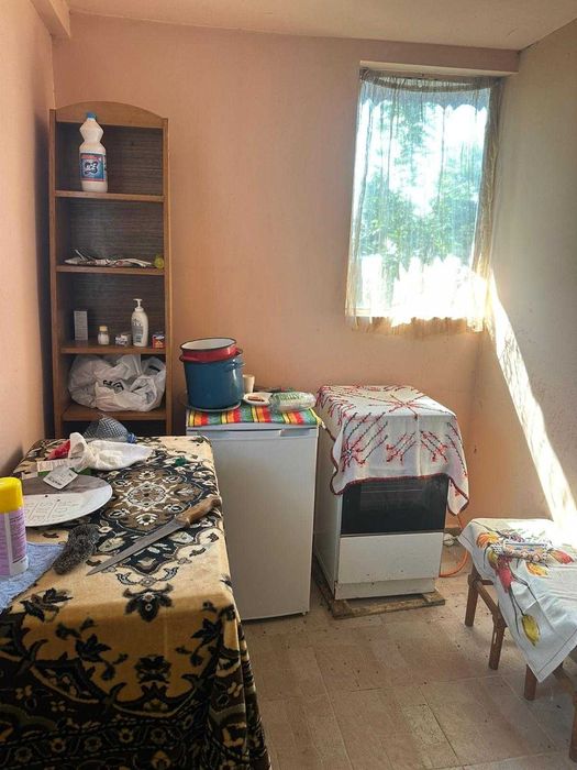 Casa batraneasca+ anexa+ beci+ 5700mp teren cu deschidere la drum principal si padure la numai 19 km de orasul Iasi