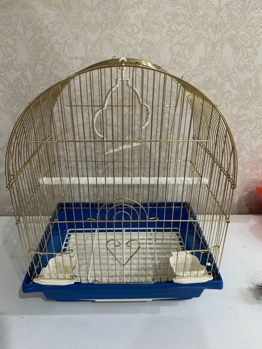 Клетка попугая