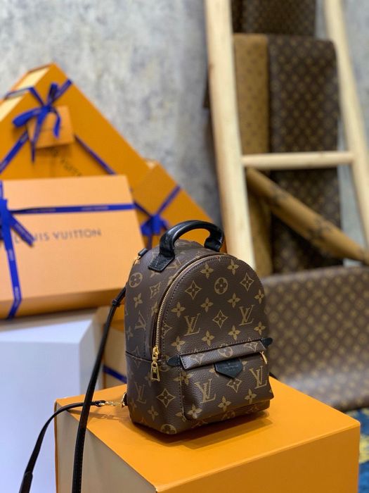 Louis Vuitton Palm Springs Mini