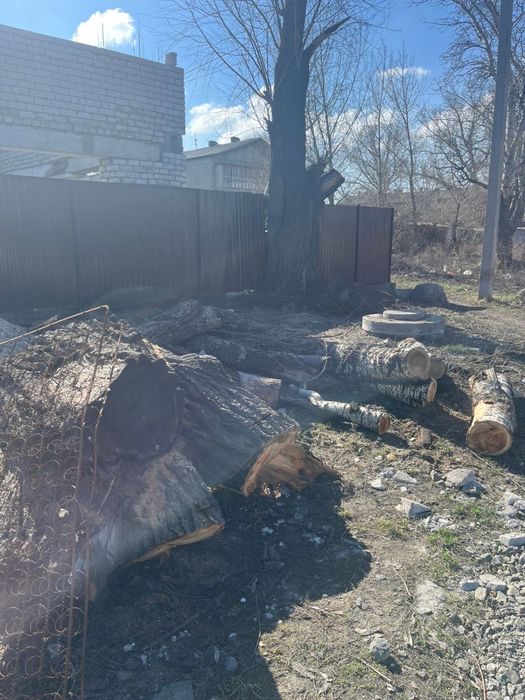 Отдам даром дрова самовывоз