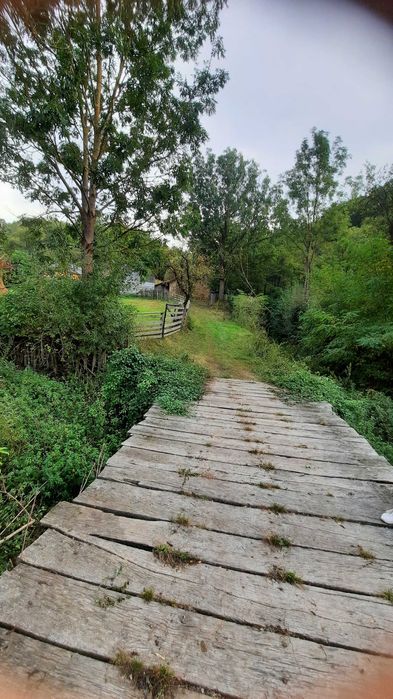 Casa si gradina de vanzare