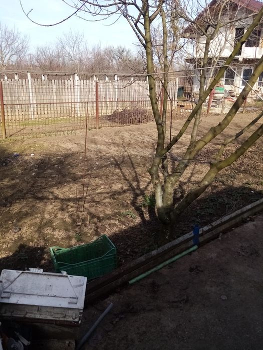 Teren de vânzare comuna Clinceni