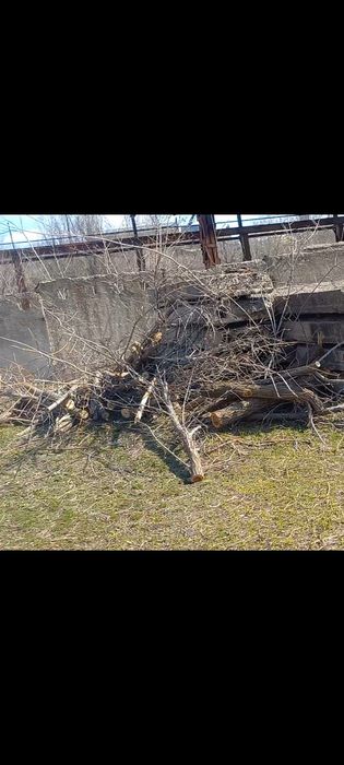 Ппродамм Дроваа.