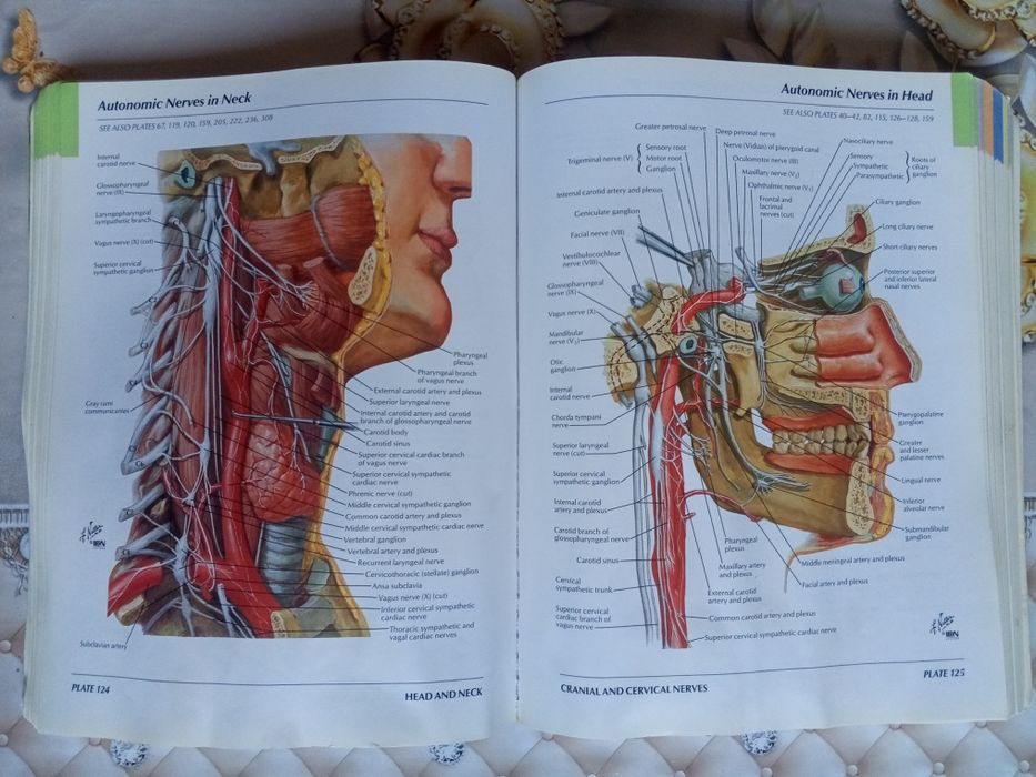 Atlas anatomiyasi sotiladi