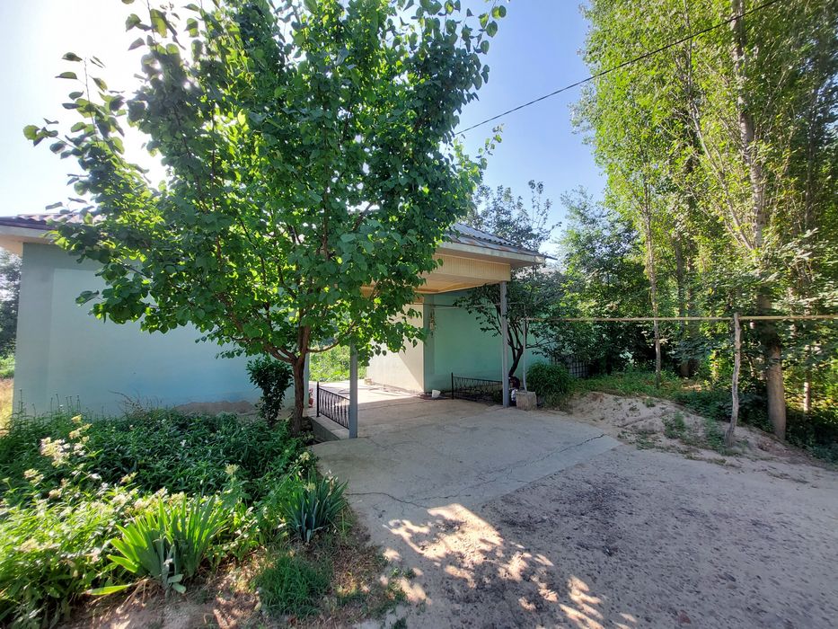 Ховли сотилади тошкент влояати яанги йул туманида