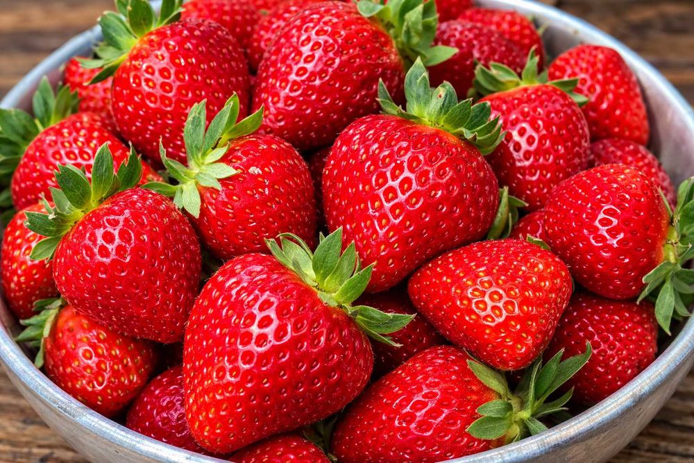 Целогодишни ягоди Монтерей – на гол корен