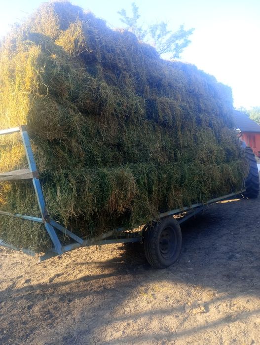 Baloți lucerna coasa  a patra