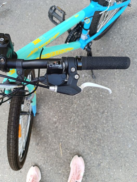 Bicicleta Pegas copii 24 cm