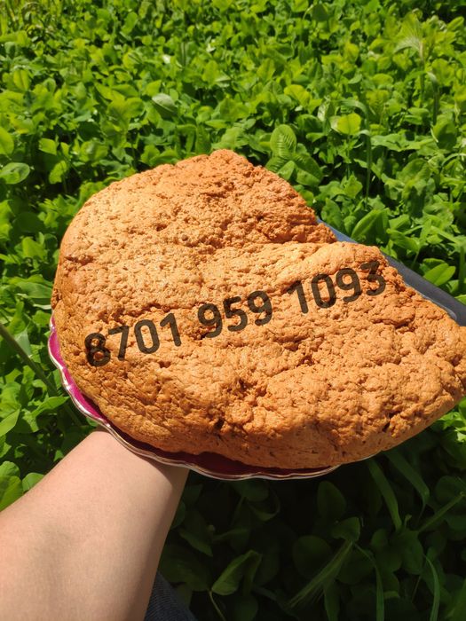 Иримшик оптом ірімшік