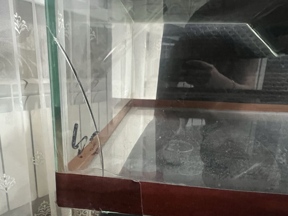 Продажа аквариума