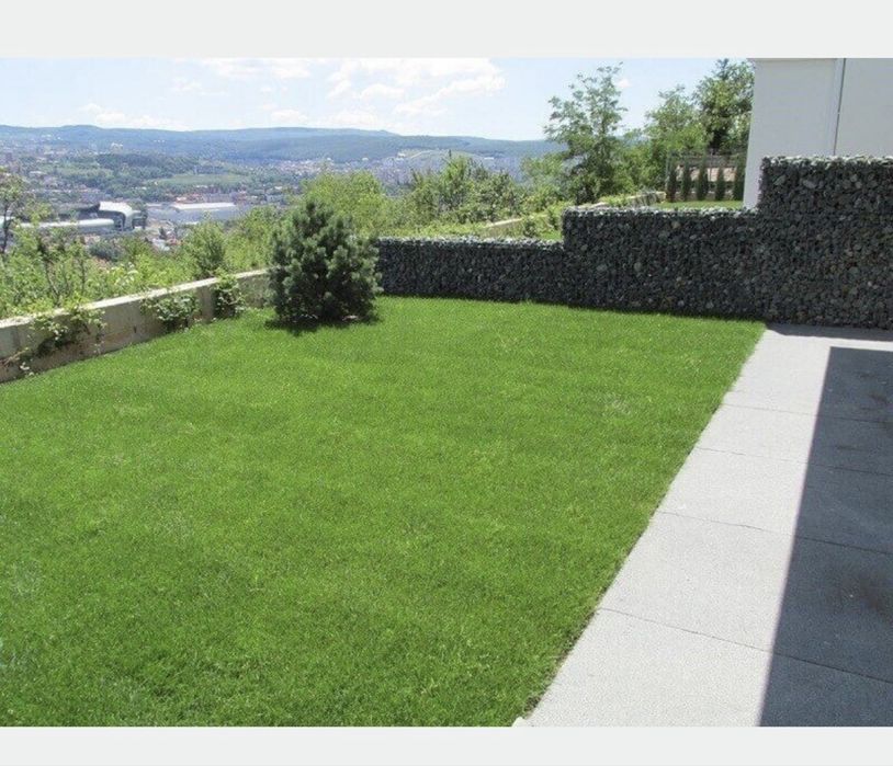 Gazon Tip rulou Pentru Exterior