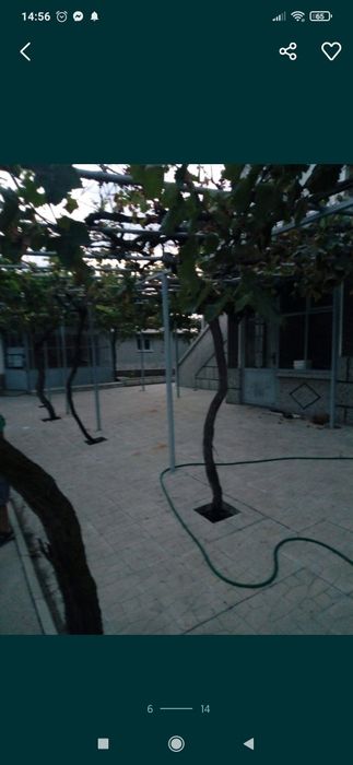 Продава се Къща в с. Здравец, Област Хасково - 100 кв.м за 378 €/кв.м - Снимка #3