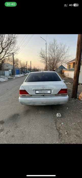 Продам кабана срочно