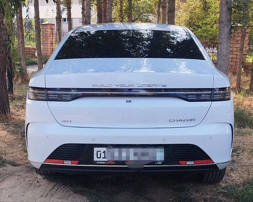 Chazor 1 позисия краска тоза