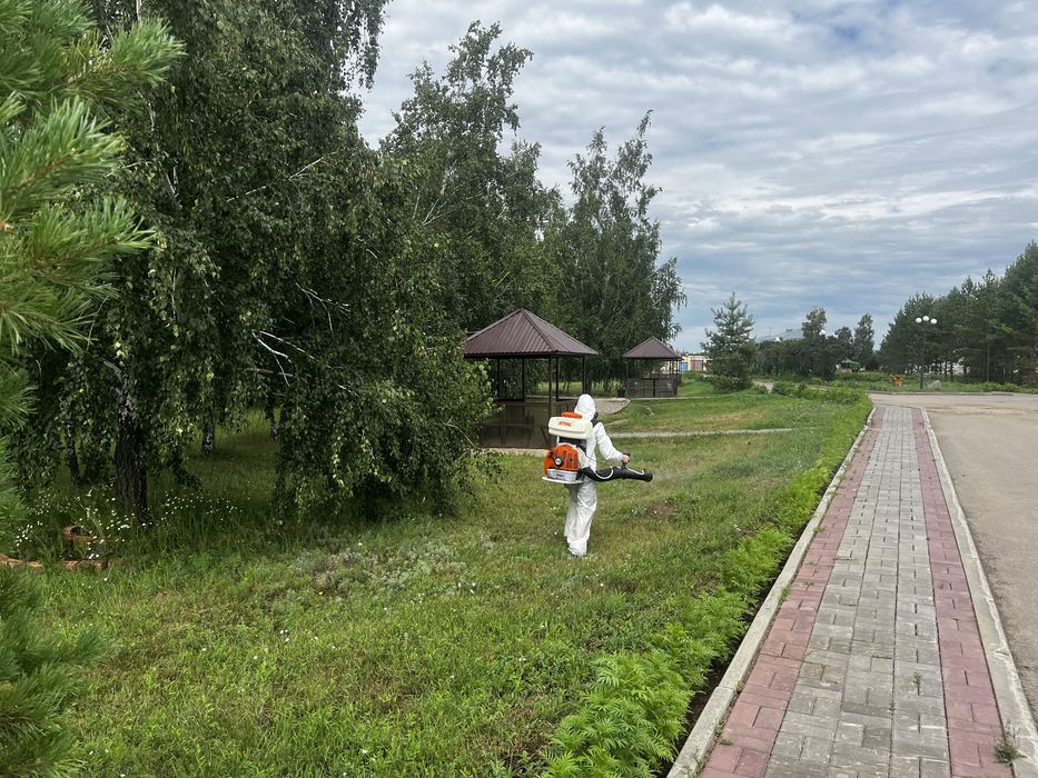 Дезинфекция Сатпаев