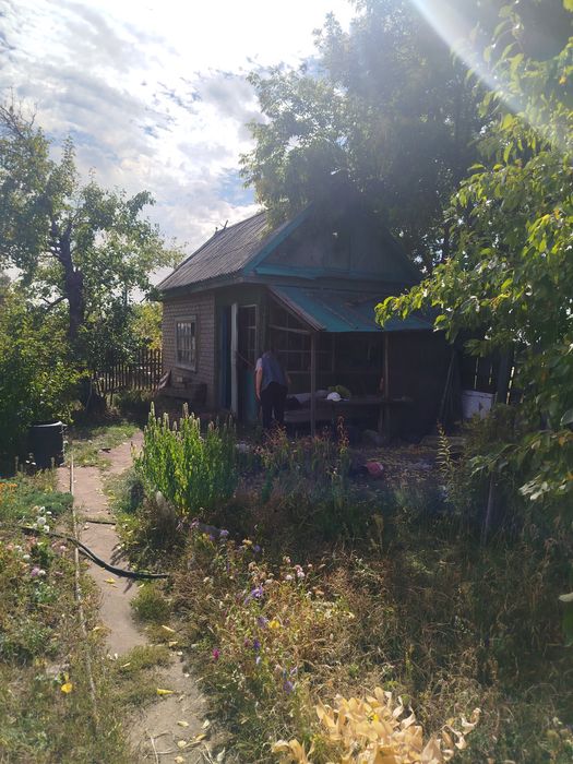 Продам дачу садоводство яблонька