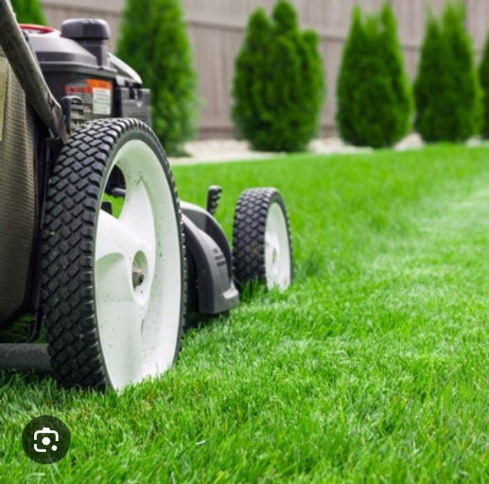 Стрижка и посев газона