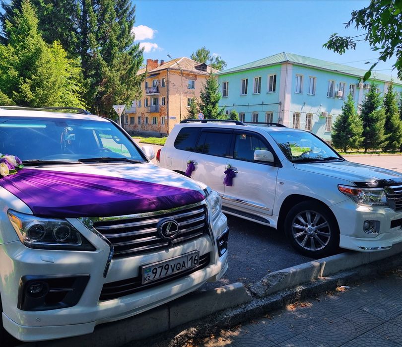 Сдам   в аренду !