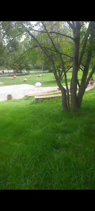 Гидропосев газона