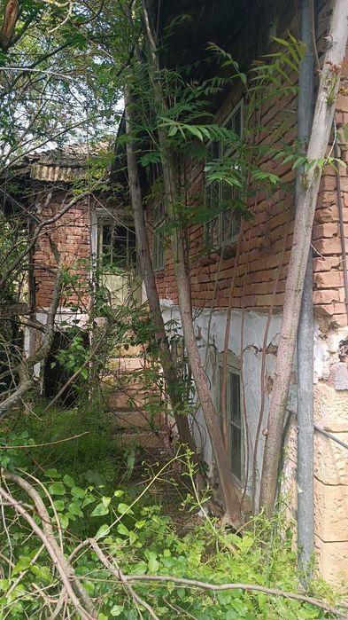 Продавам 2 къщи в село Костанденец, област Разград