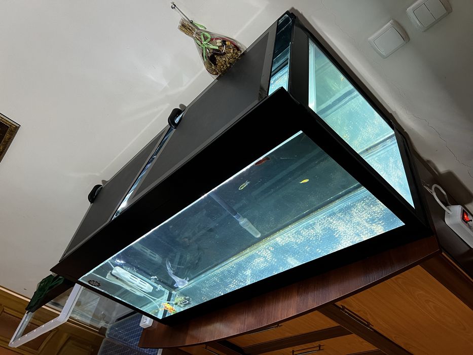 Аквариум 200 литров