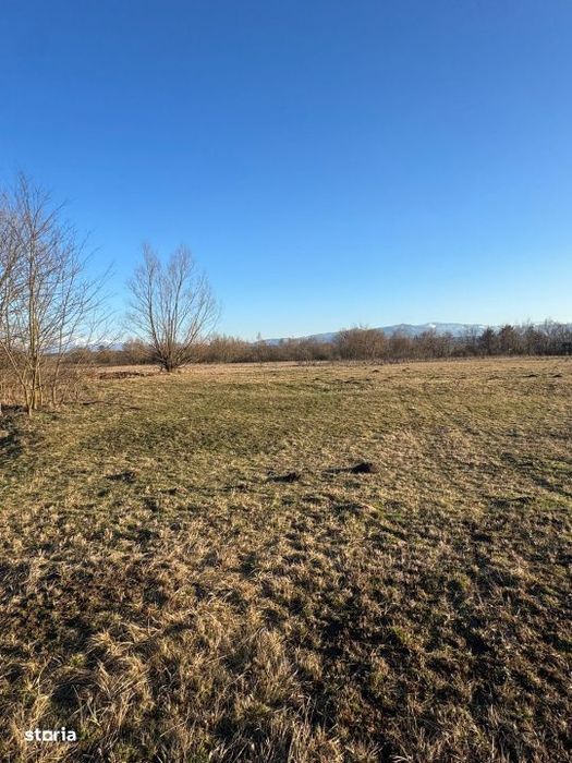 Oaza de liniste cu vedere la munti – 2.400 mp langa Aeroportul Sibiu
