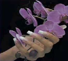 ЦПО - Център за Професионално Обучение и курсове в София по държавни п